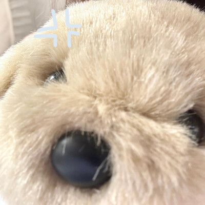 情头。