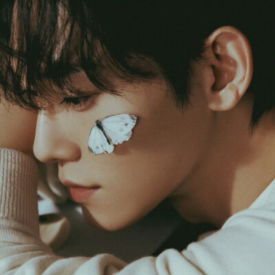 chen
