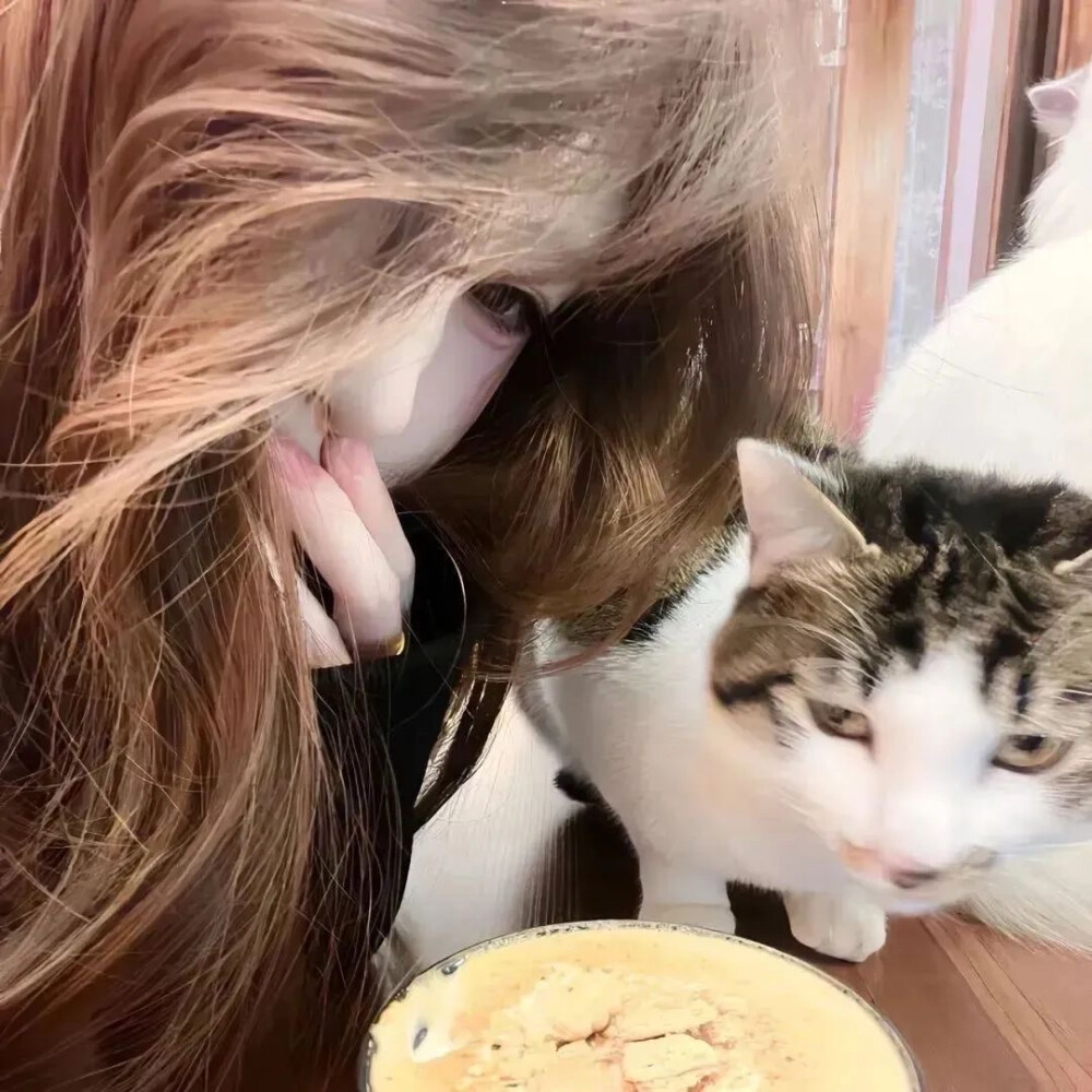 风格
