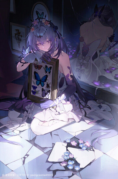 遐蝶