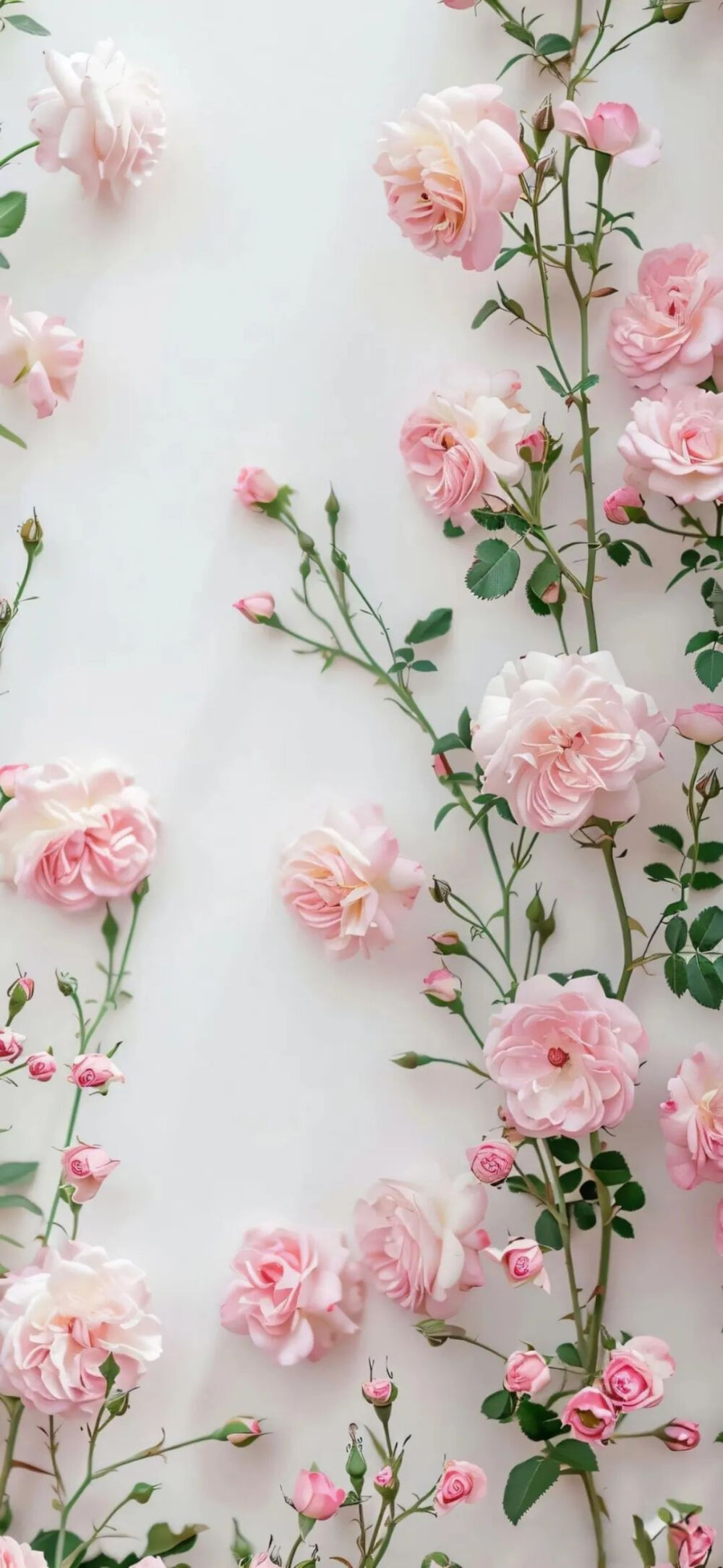 将春天纳入屏丨壁纸(＾－＾)