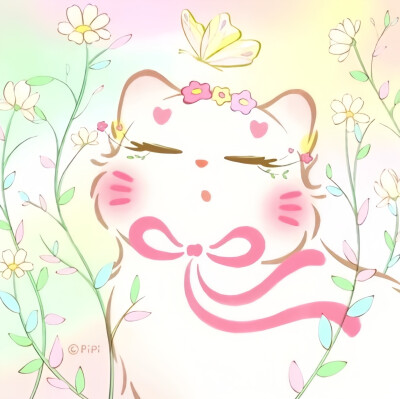 星星猫