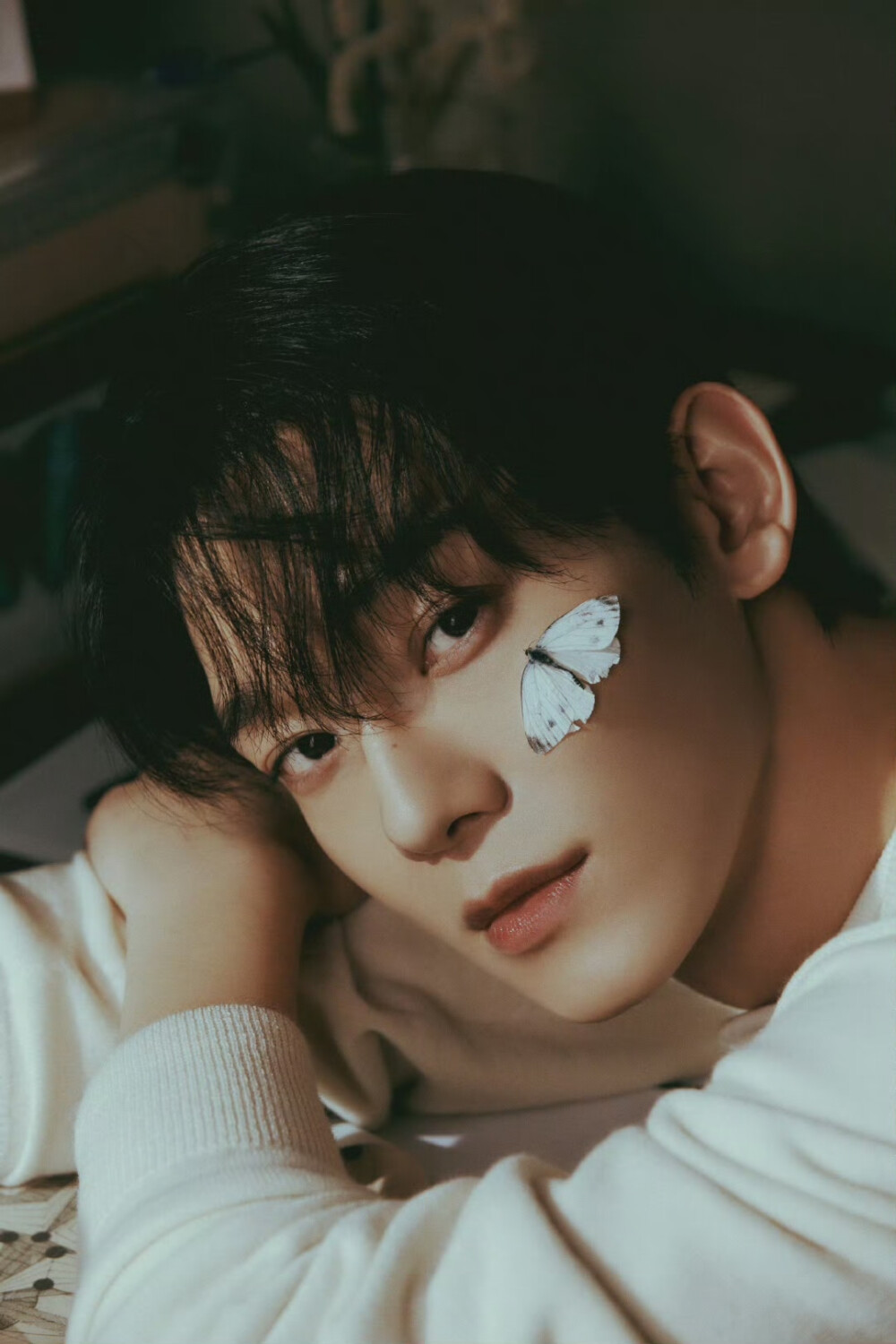 chen
