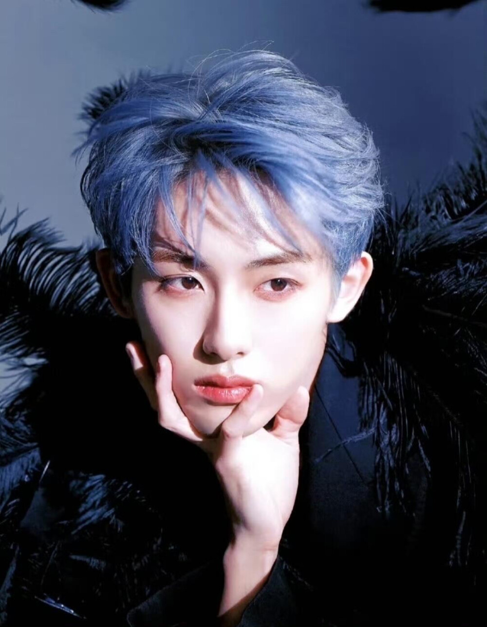 winwin