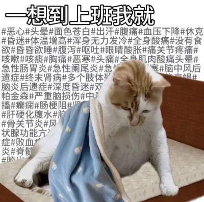 沙雕猫咪 打工人表情包