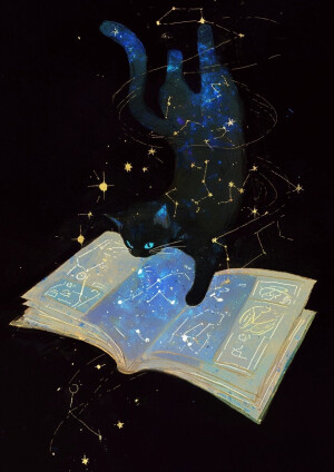 【全是猫】吃我一套喵喵拳②