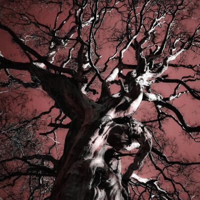 
Our souls ：《点燃了的荒野》+