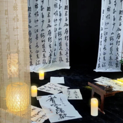 张泽禹 t