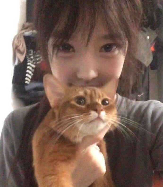 爱不会拐弯-