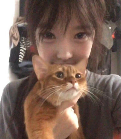 爱不会拐弯-