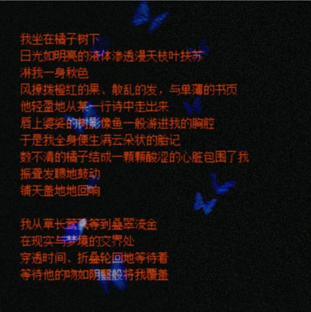 田柾国