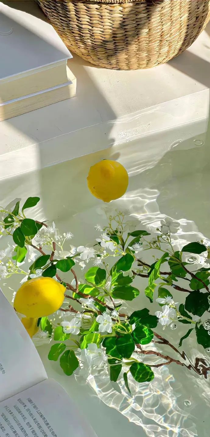 壁纸