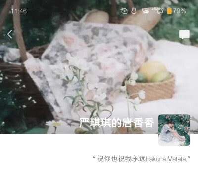 野餐。
二改自槐花源_