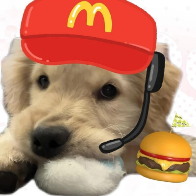狗狗头像