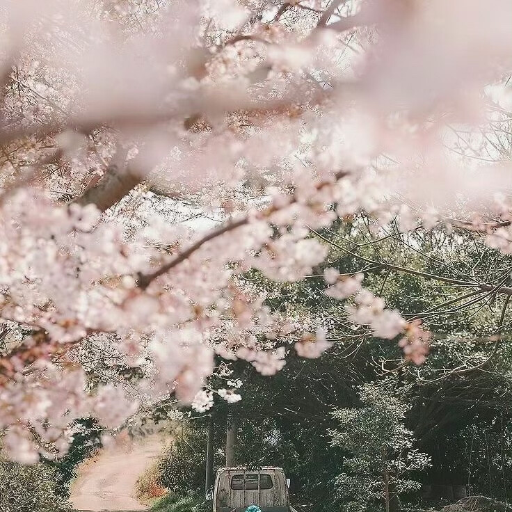 背景图