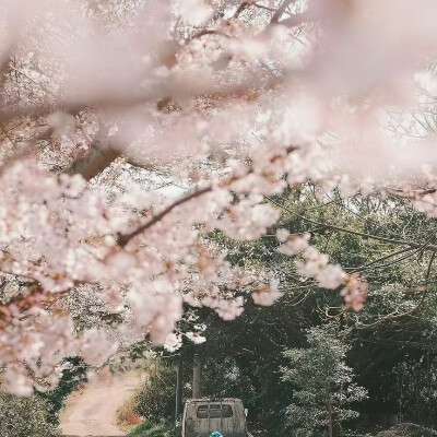 背景图