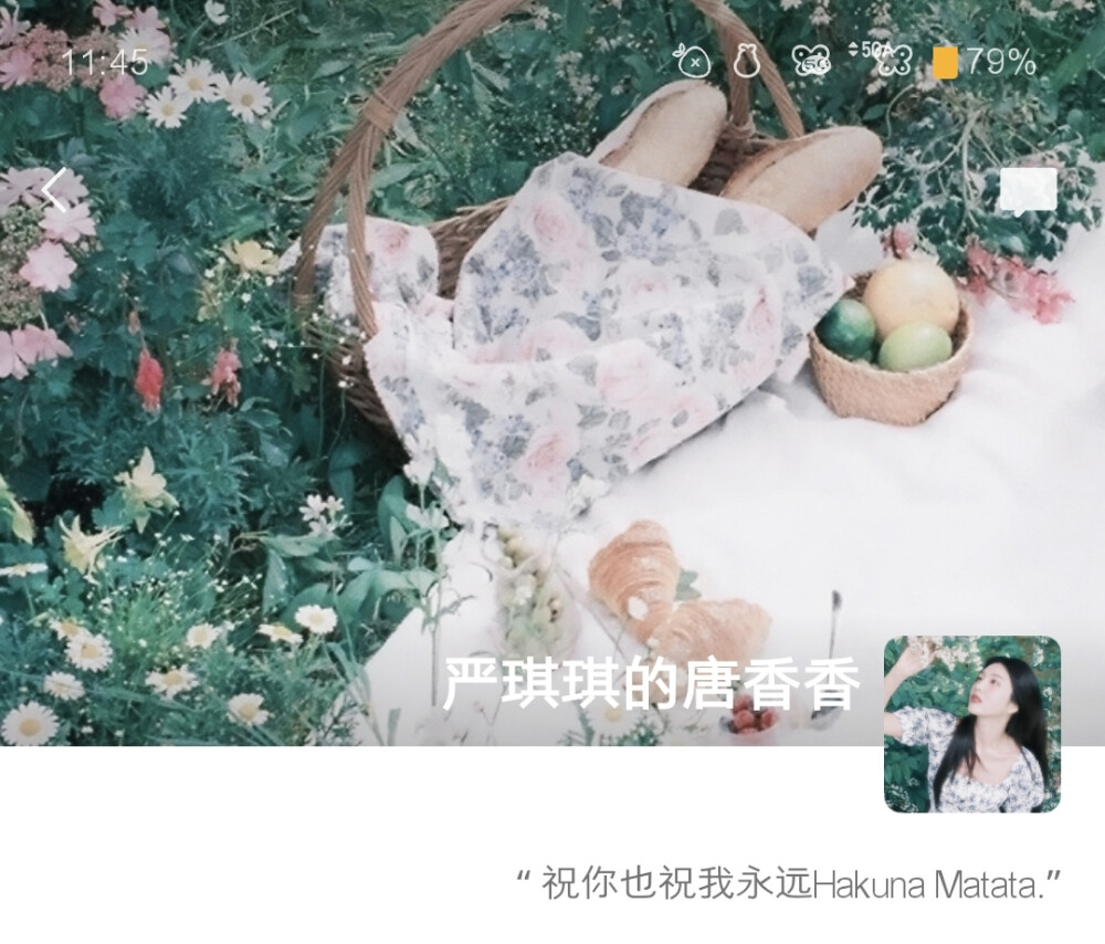 野餐。
二改自槐花源_