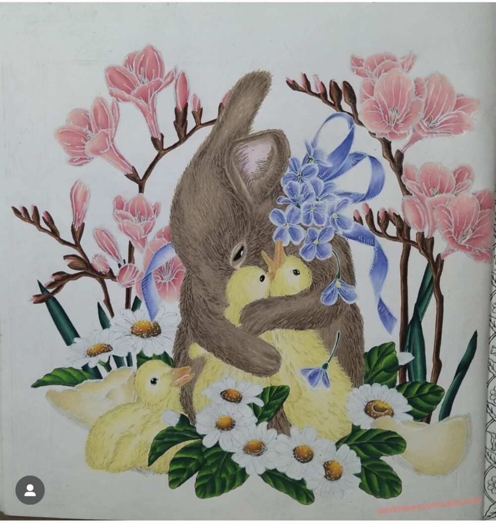 涂色