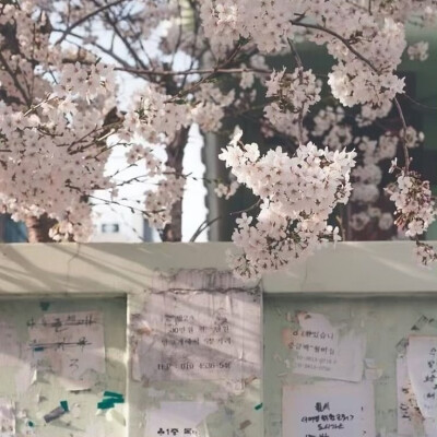 背景图