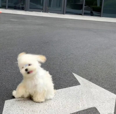 女生头像（侵删）