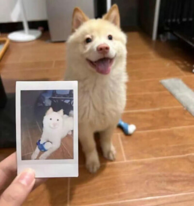 背景图//单图收藏_放弃你这件事 我一直出尔反尔