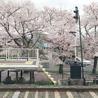 背景图