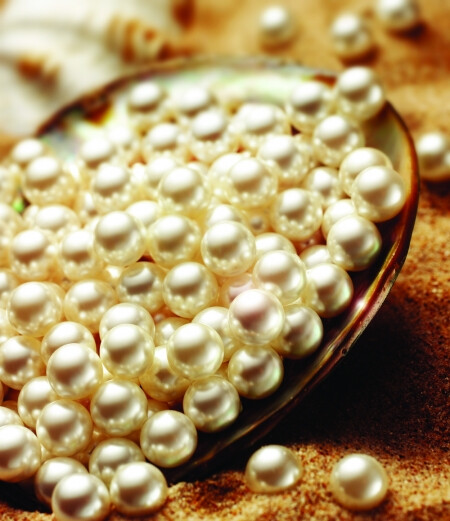 【珍珠】