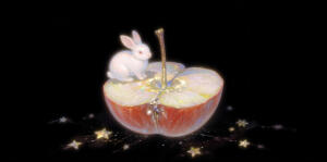 一些梦幻物品