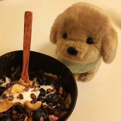 背景图//单图收藏_放弃你这件事 我一直出尔反尔