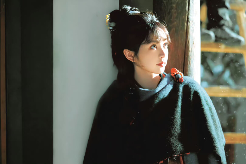 田曦薇 *樊长玉 ​​​