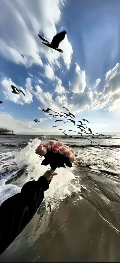 壁纸