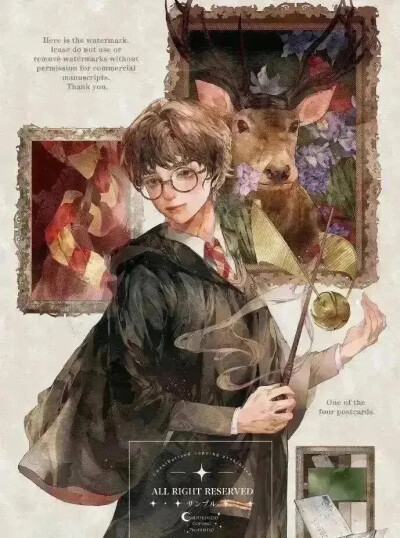 哈利波特