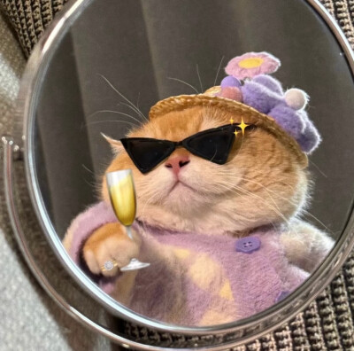 女生头像（侵删）