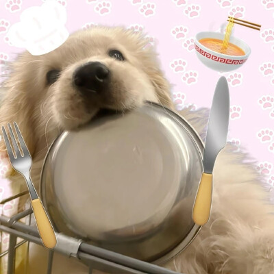 狗狗头像