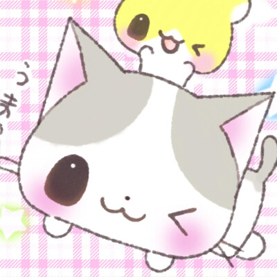 情头。