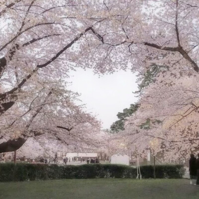 背景图