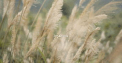 One Fine Spring Day^《春逝》、若我会见到你