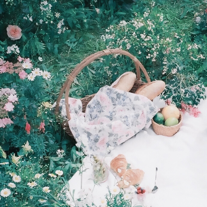 野餐。
二改自槐花源_