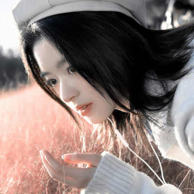 黄杨钿甜