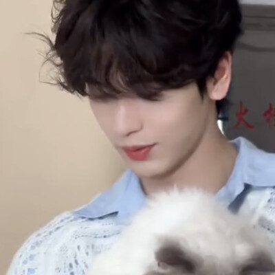 男神和猫