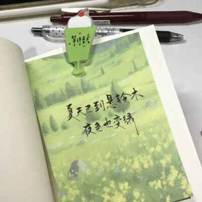 套图