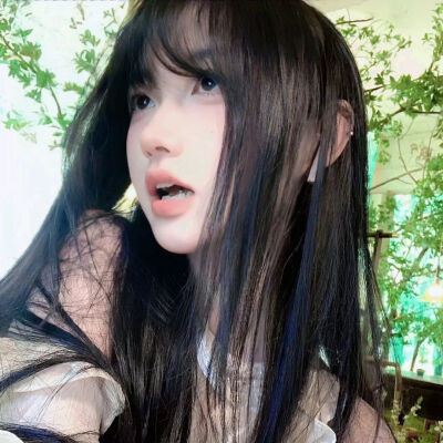 套图