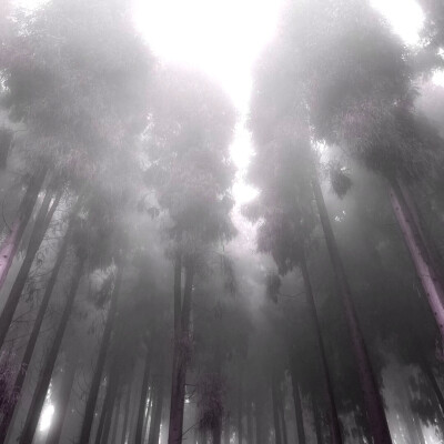 我8-bit世界裏的永生像素蝴蝶