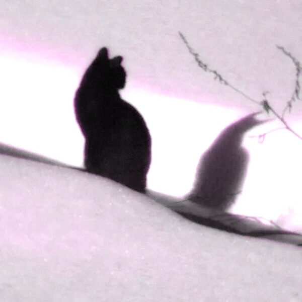 我8-bit世界裏的永生像素蝴蝶