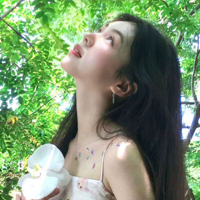 套图