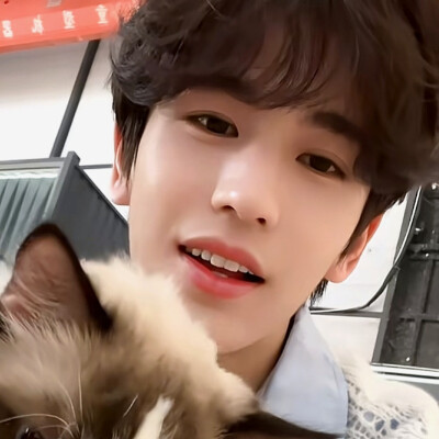 猫猫