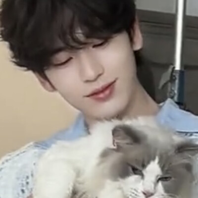 男神和猫