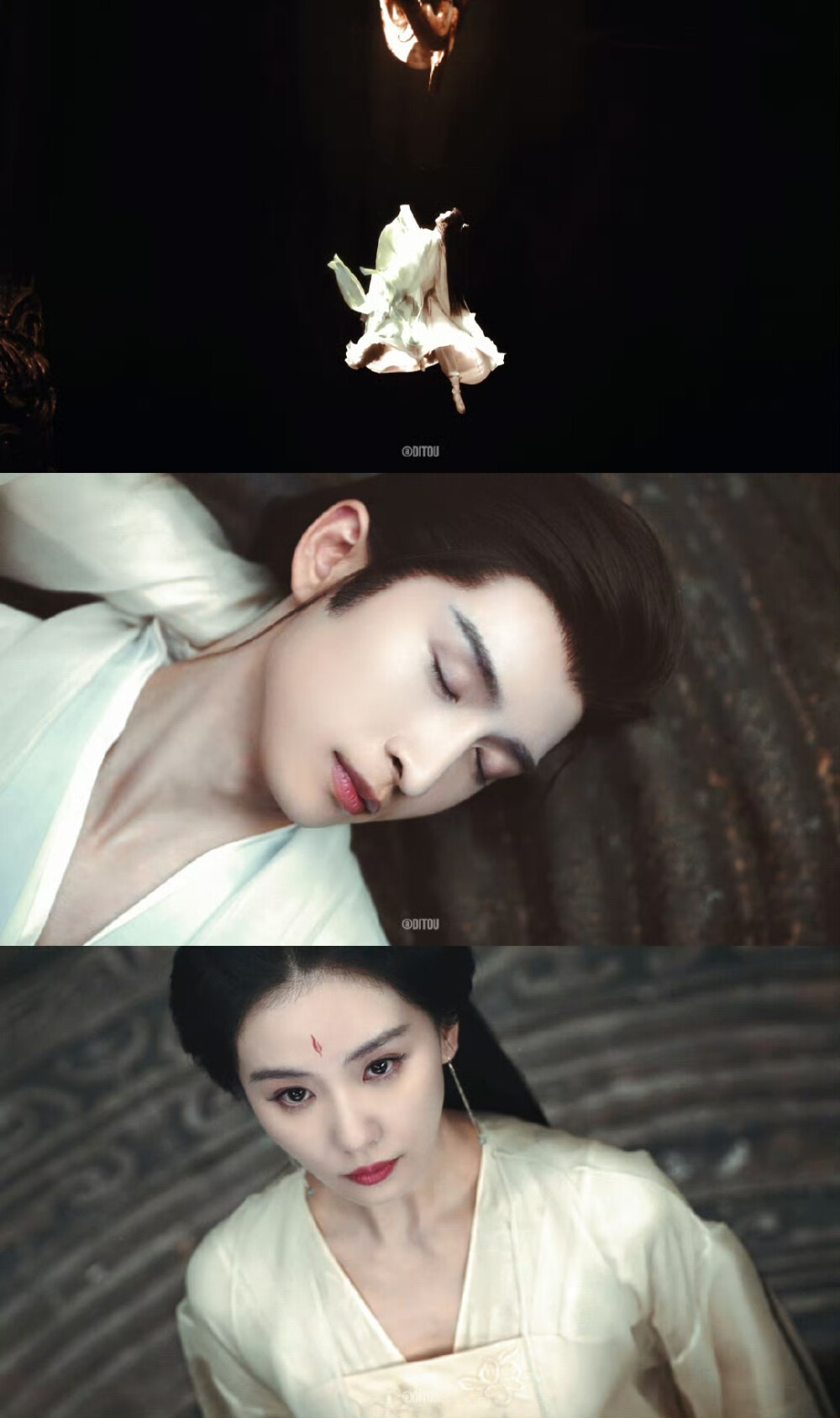 淮水竹亭｜刘诗诗张云龙｜东方淮竹王权弘业 ​​​