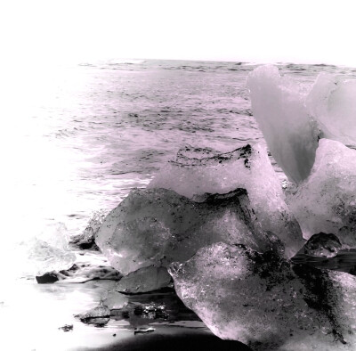 我8-bit世界裏的永生像素蝴蝶