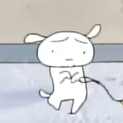 小白